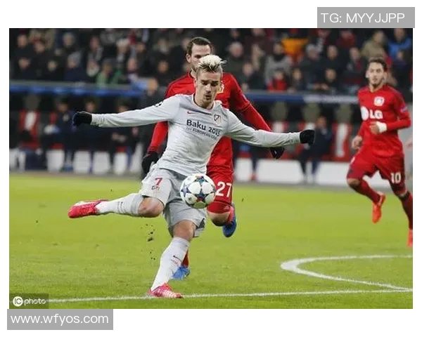 鹰与足球明星的象征意义探讨及其代表国家分析